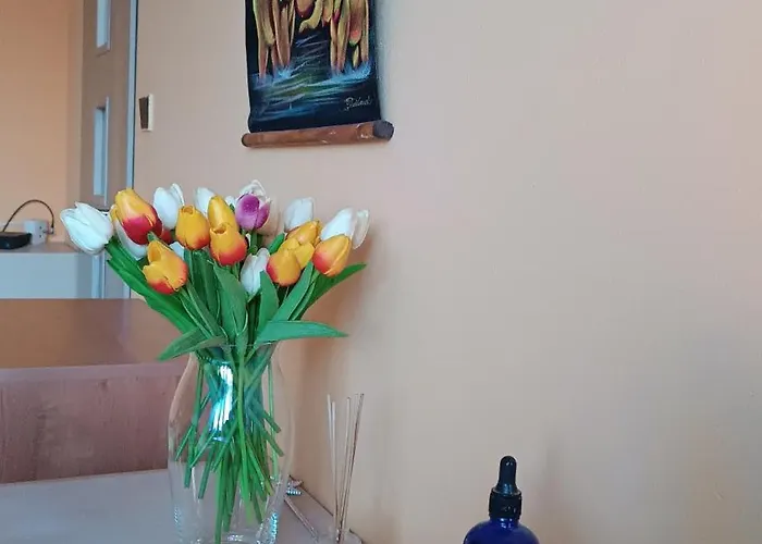 Marko Apartment Kosice